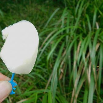 冷やしてきた梨🍐
うまー😋