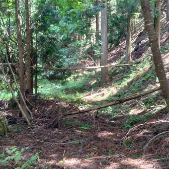 こんな感じ。踏み跡分からない。