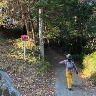 墓地の手前　ココを右手に登る