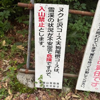 「初心者の方は」と書き足したのは誰なのかが問題だ笑