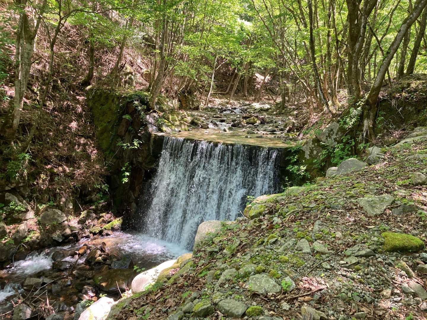 菰釣山 往復コースの写真