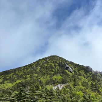振り返って国師ヶ岳