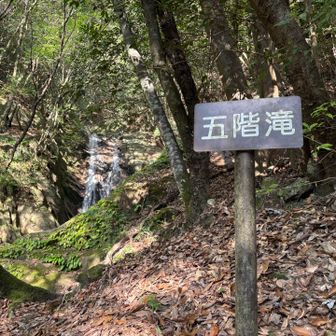 竜ヶ岳の滝はどれも良いです