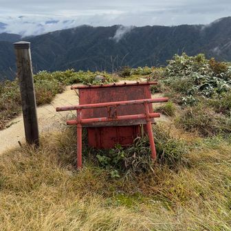にわかメタラー