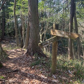 そう、山頂と思えるこの標識のところ、実はＹ字路になってるので、横へ移動しないと山頂ではありません。😅