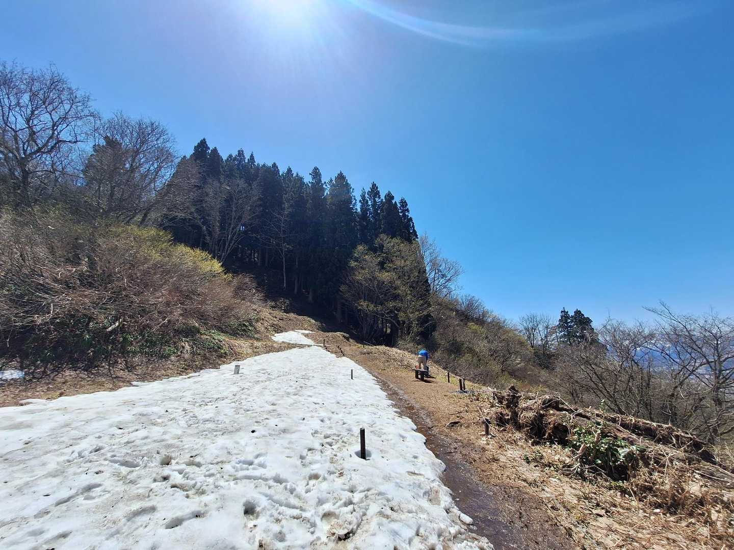 枚数制限あるからいきなり8合目桃の木平