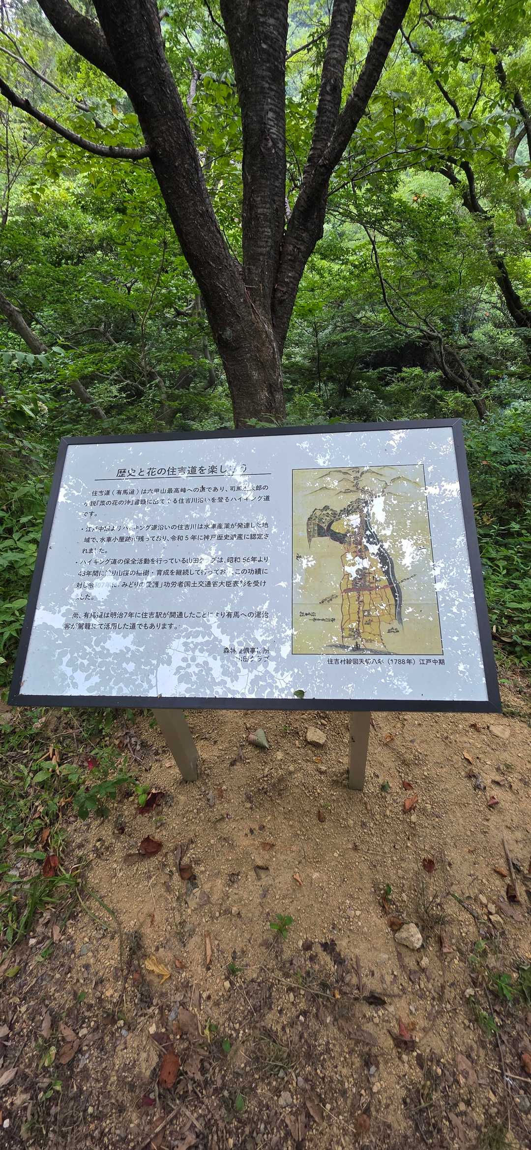 久々の荒神山登山道、歴史にまつわる案内板が設置されていた