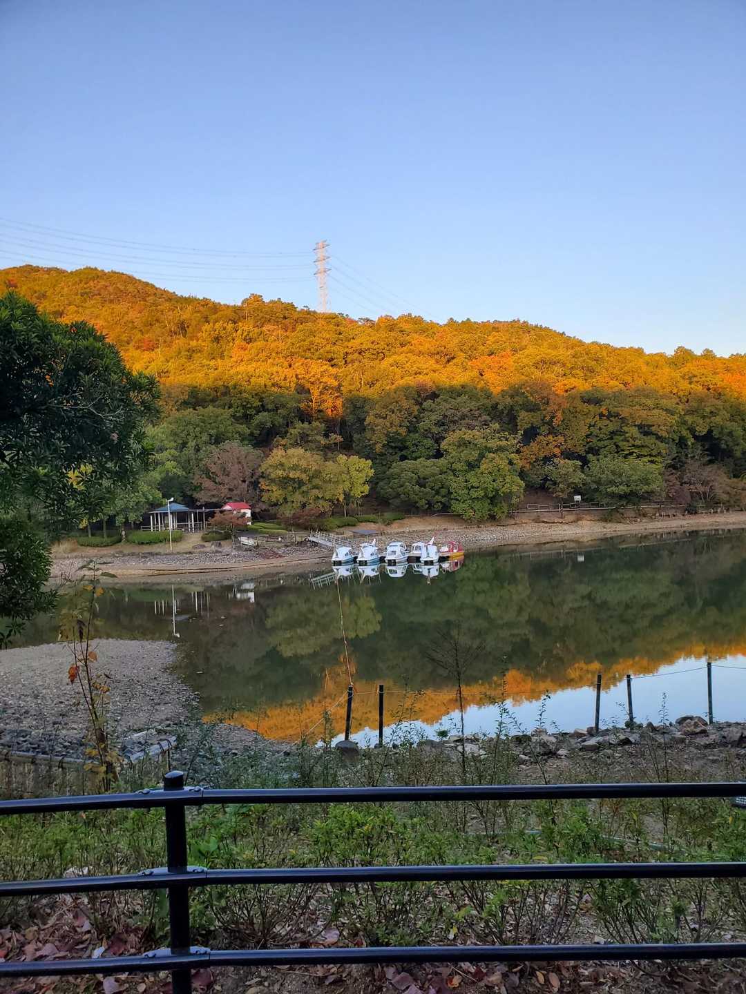 紅葉🍁が始まってきました
奥のスワンボート🦢が良い味だしてます😁