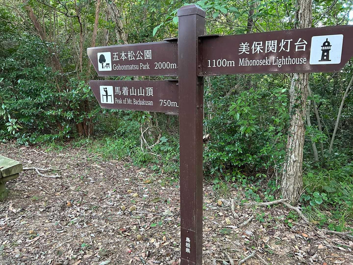初めてでワクワク🎶
登山道は広くてなだらかで歩き易いです