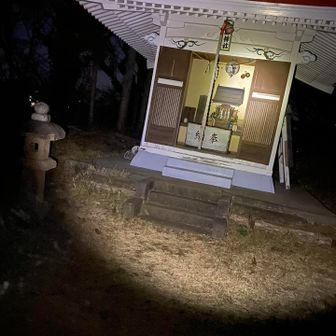 登りとは別の道を歩いてたら神社がありました