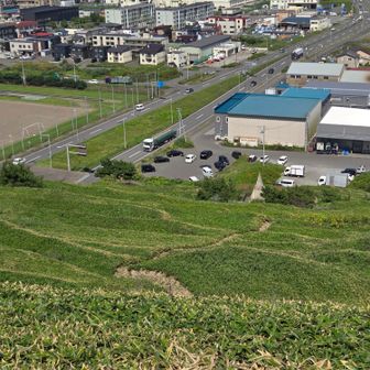 振り返り、登ってくるルートが見える