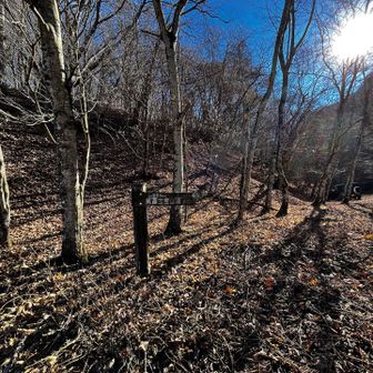 枯葉🍂ロード　下山