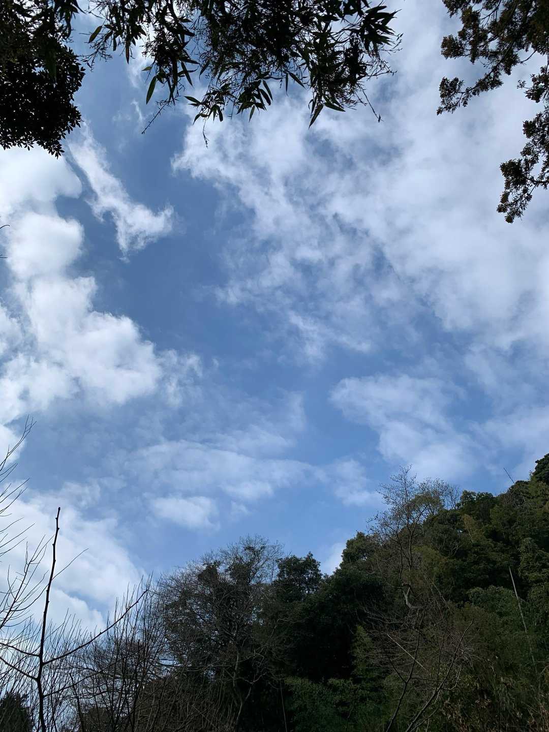 そして今週も‼️下山後に青空🤣