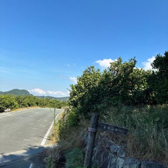 容赦なく照り付ける日差しに舗装道路は暑い💦
