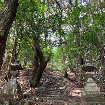 ずっと日陰の参道✨
ツクツクボウシが鳴いてる…