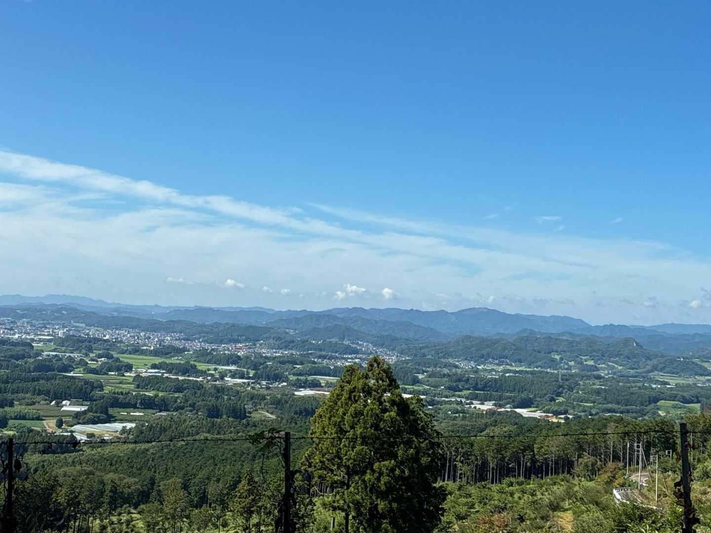 南コース登山口-東登山口-南登山道入口 往復コースの写真