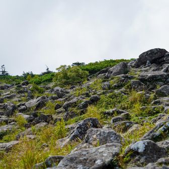 さぁ周回します