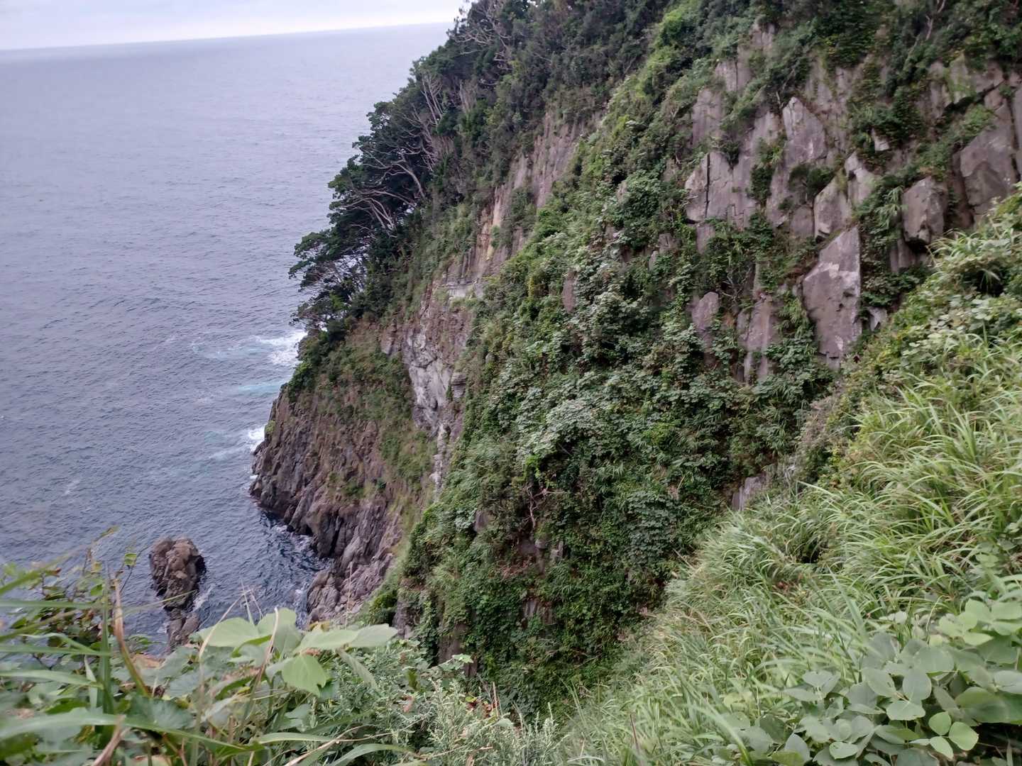 賀嶋山 往復コースの写真