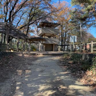 頂上着きました