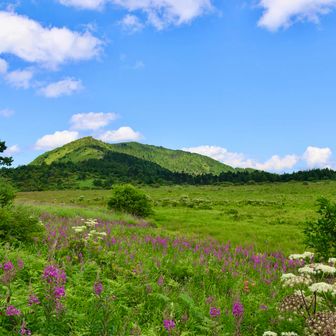 先程登った⛰️鷲ヶ峰と八島ヶ原湿原🪻