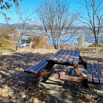 ベンチがありました