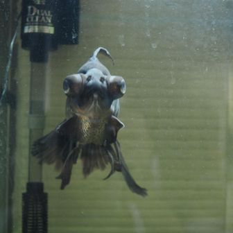 ユーザーりゅうせい