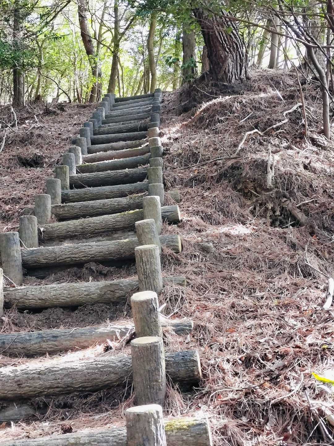 また階段　
下りる方だったような
2番目の階段が１番きつかったです
