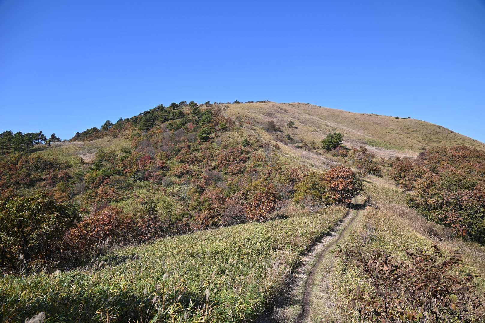 穴ヶ乢に下る登山道から振り返ってみた三平山