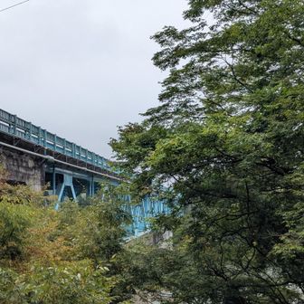 那珂川に架かる橋をくぐると駐車場です🚙