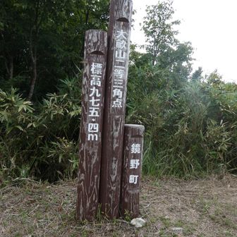 大畝山到着
道標こんなに背が高いんですね