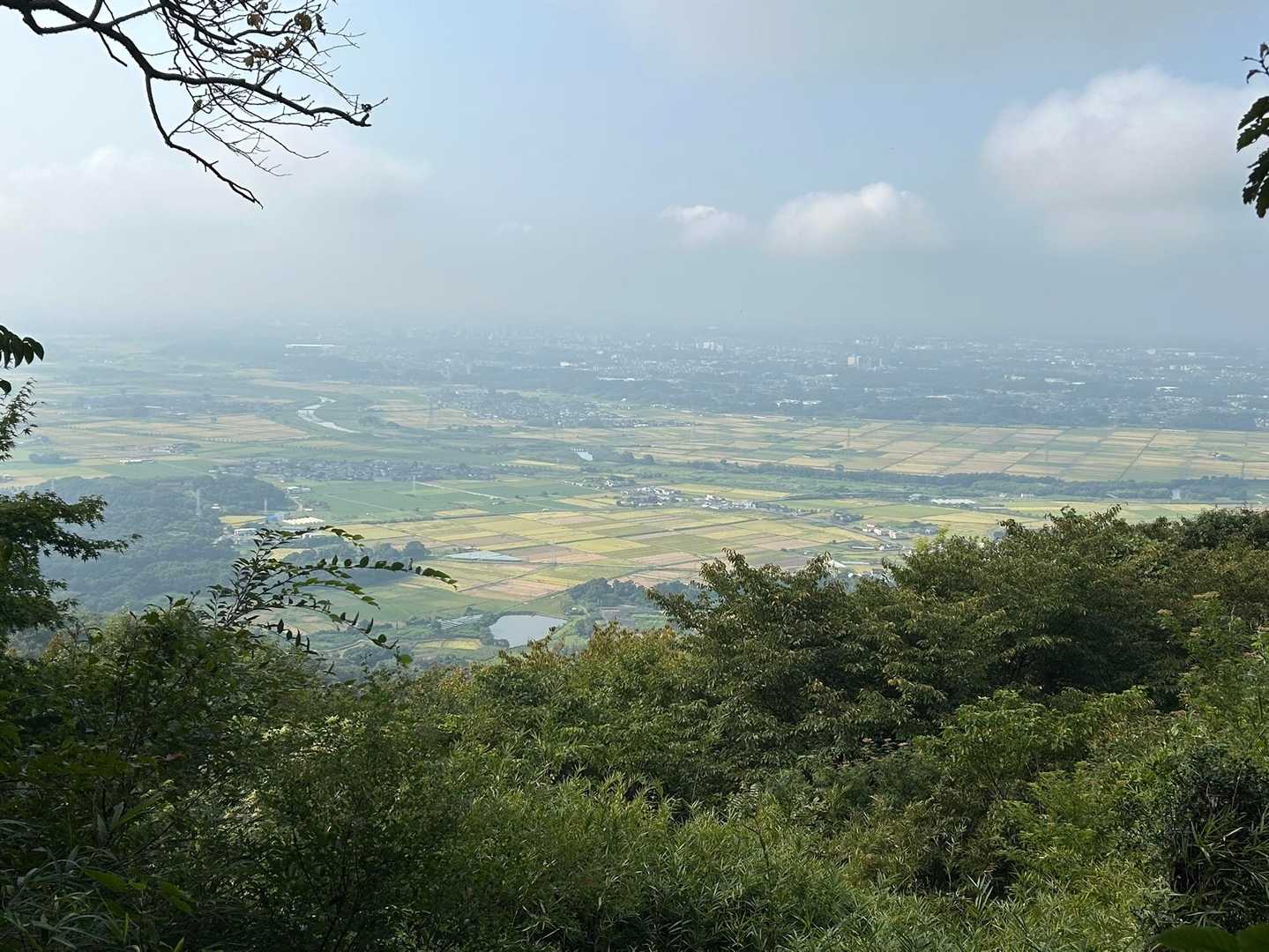 展望台から