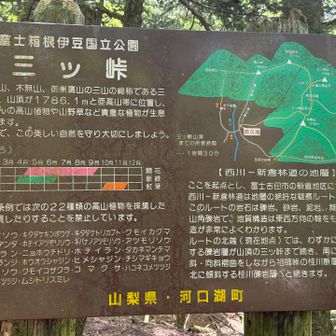 山梨県の高山植物についての看板

　三つ峠で見られない植物も多いですがここでも色々な植物が見られます

　山梨県の条例では次の22種類の高山植物を採集したり、売買したりすることを禁止

　キタダケソウ・キタダケキンポウゲ
　キタダケトリカブト・クモイカグマ
　キタダケデンダ・ホテイアツモリソウ
　キバナノアツモリソウ・アツモリソウ
　カモメラン・ニョホウチドリ・ホテイラン
　タカネマンテマ
　タカネビランジ・ホウオウシャジン
　ヒメシャジン・チシマギキョウ
　ユキワリソウ・クモイコザクラ・コマクサ
　ハコネコメツツジ
　チョウジコメツツジ.ムシトリスミレ