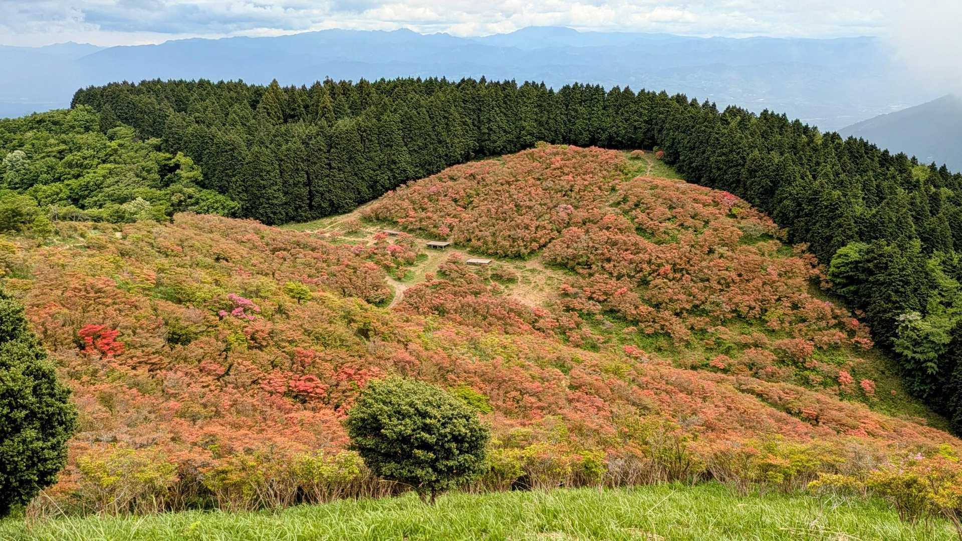 大和葛城山-水越峠 縦走コースの写真
