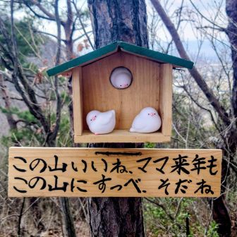 こちらも癒されますねぇ〜
ここまでの疲れが癒される