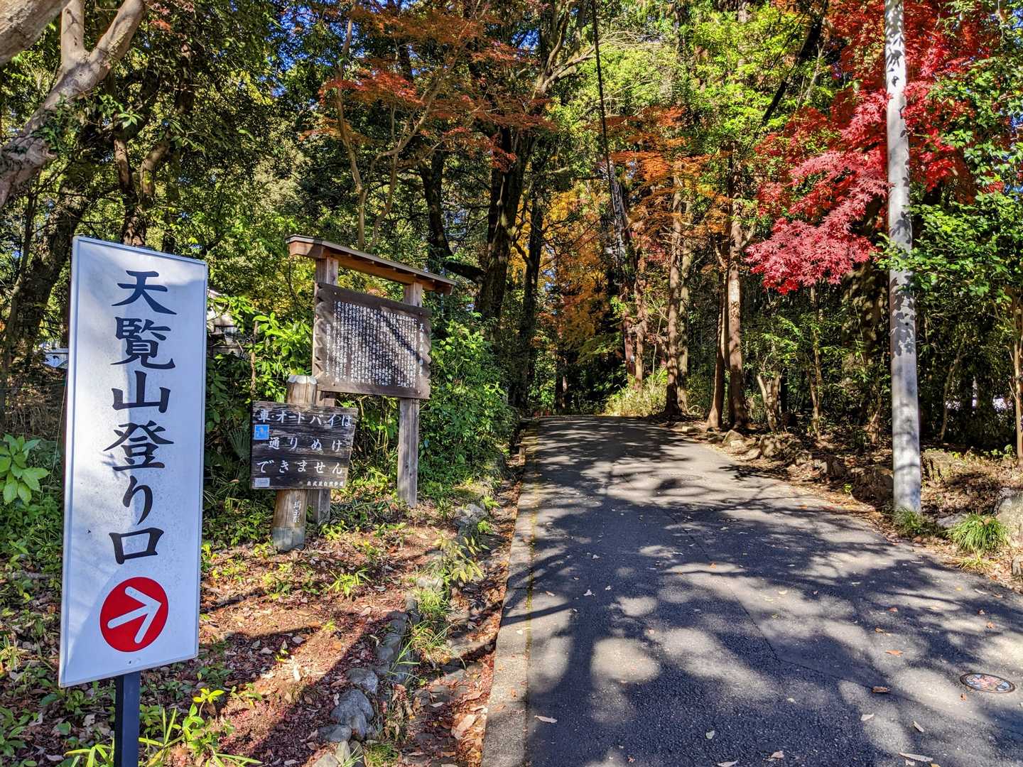 お次は天覧山へ
フォロワーさんの日記でまだ紅葉が残っているとの情報に期待も高まる