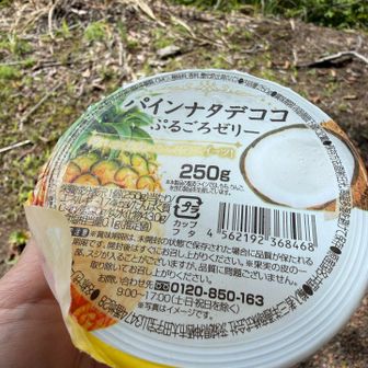 シャリっと凍ったゼリーで休憩😊