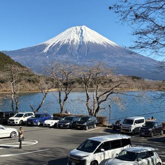 朝も駐車場はこんな感じ