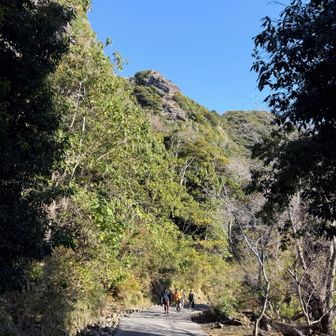 下段まで降りて、大仏方向に歩きます