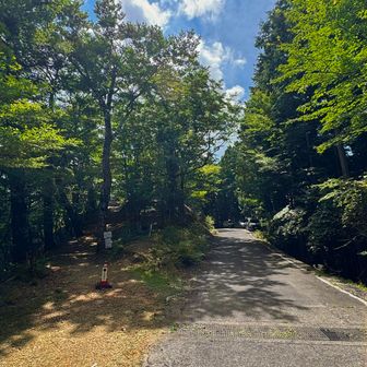
さて‼️こっからはサイクリングの翌日
今回メインな 登山日の日記
⭕️8/23（日）🌤️

【口千丈岳登山口】
車で 高野山まで2時間近く
そっからから高野龍神スカイライン通って更に40分 🚙…
ワインディングロード【龍神スカイライン】は、両側が緑に包まれて気持ちいいドライブコースではあるねんけど…
登山タイム合計より車運転タイム合計の方が時間かかる😁💦 
遠かったー
