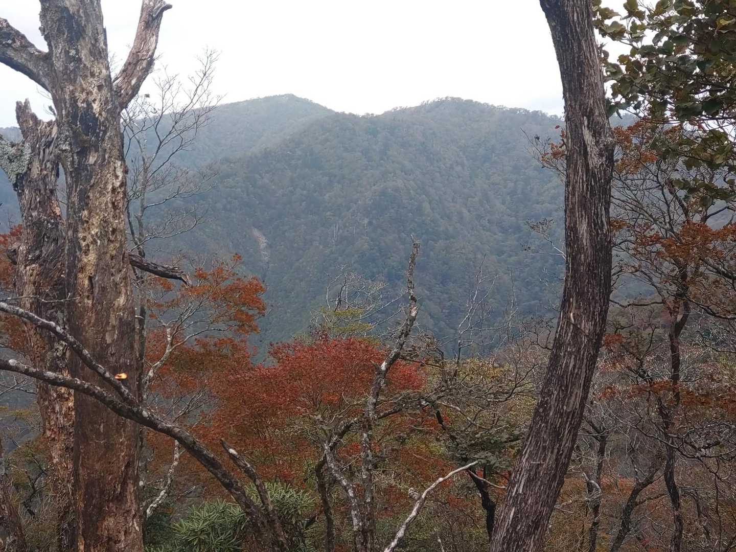 国見岳(奥)ありがとう✨
ここでお別れだけどまた来るね👋