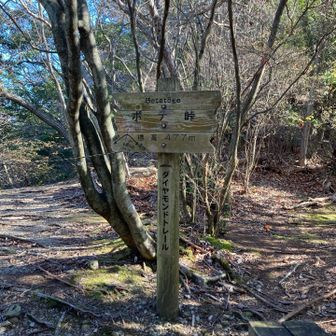 ボテ峠
ダイヤモンドトレールと別れて周遊コースへ