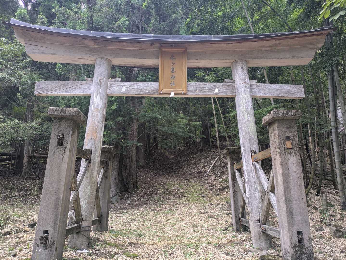 鳥居⛩️