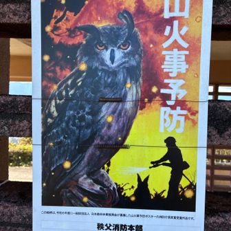 ミミズクが見張ってます　山火事予防