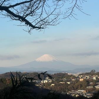 しっかり見えました富士山。