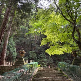 緑がきれい。