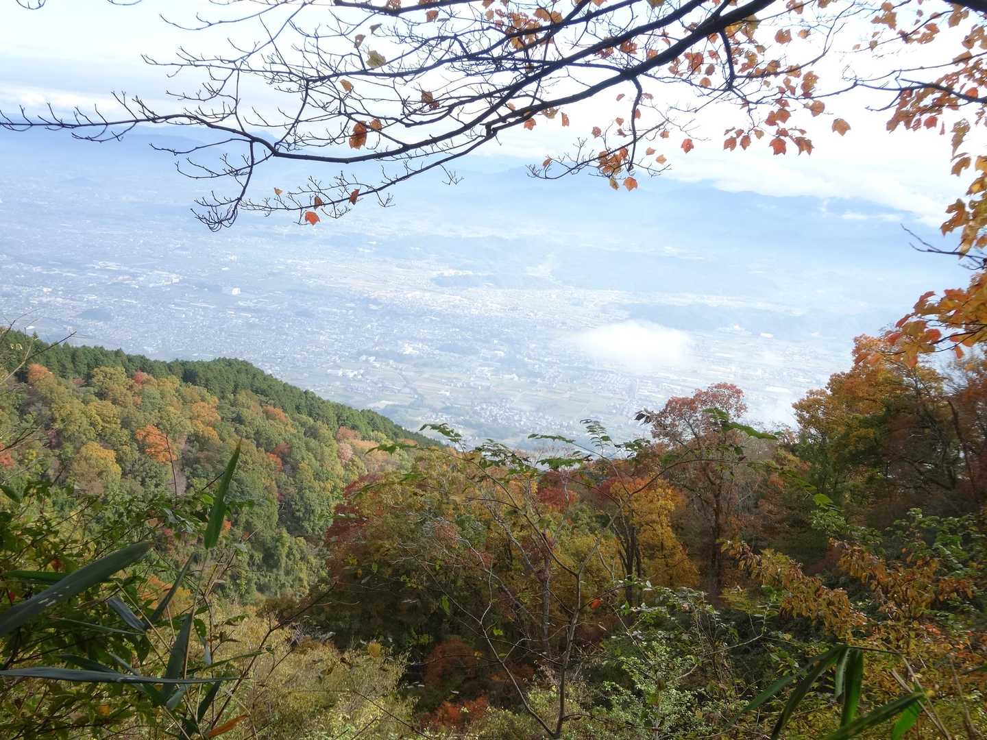 奈良側斜面も色付いています
