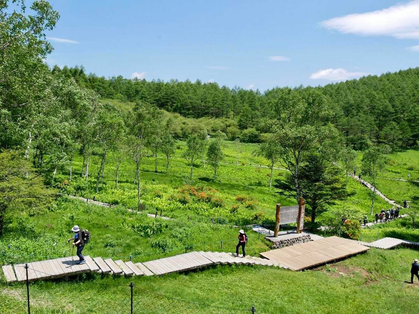 展望と森。豊かな山の表情を楽しむ長野・入笠山＆大阿原湿原コースの写真