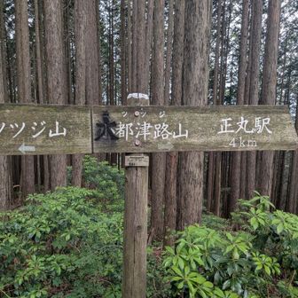 表式間違えちゃったのね笑
小ツツジ山はこの次だ