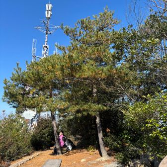 山頂碑から電波塔を振り返る