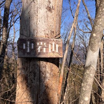 いくつかピークを巻いてしまったので登ってみた